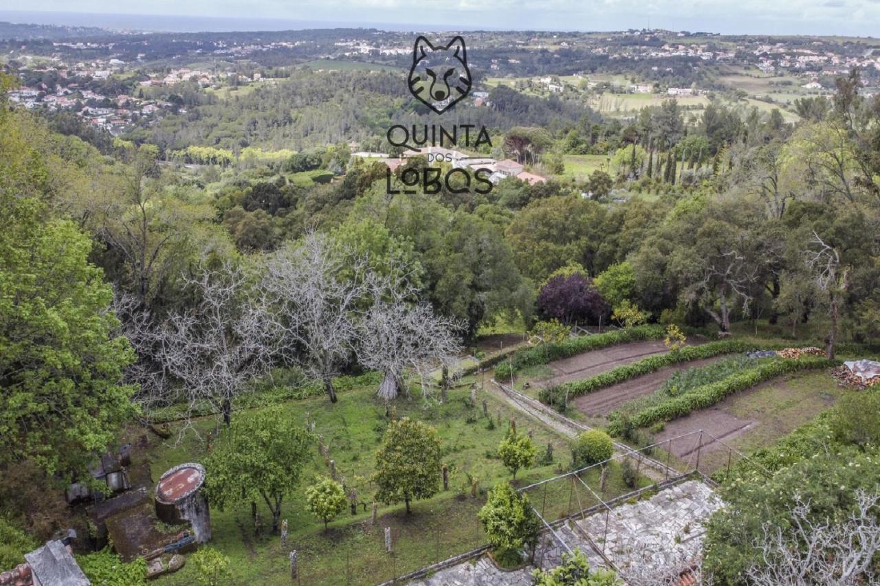 Quinta Dos Lobos Boutique Hotel - Nature Experience Sintra Exterior photo